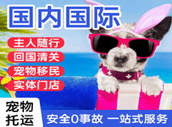 张家界航空空运国际宠物托运 【国